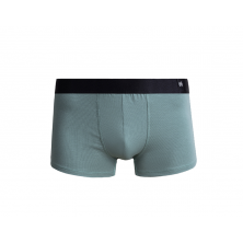 Sage Boxers